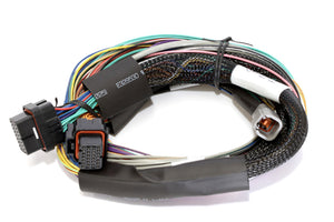 Haltech Elite 2500 8ft Basic Universal Wire-In Harness (No Relays or Fuses)