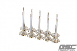 GSC P-D Audi DAZA 33.9mm Head STD 104mm Long Chrome Polished Intake Valve - Set of 10