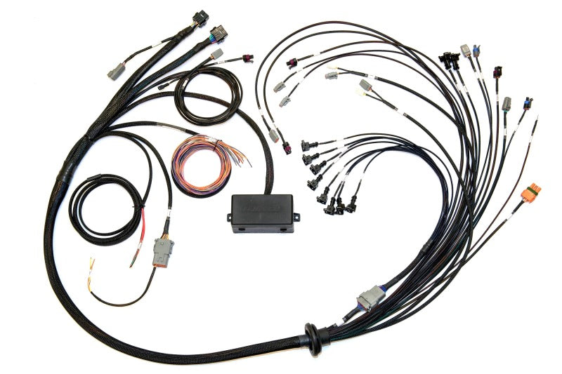 Haltech Elite 2000/2500 Terminated Harness w/EV1 Inj Connectors