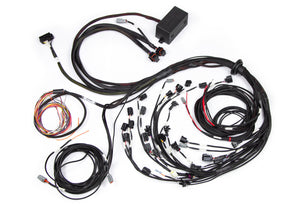 Haltech Elite 2500 Terminated Harness w/EV1 Injector Connectors