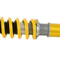 Ohlins 95-02 Nissan Skyline GT-R (R33/R34) Road & Track Coilover System