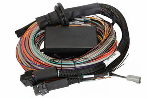 Haltech Elite 2500/2500 T 16ft Premium Universal Wire-In Harness