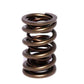 COMP Cams Valve Spring 1.550in Dual