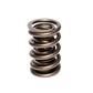 COMP Cams Valve Spring 1.540in 2 Spring