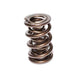 COMP Cams Valve Spring 2.100in Triple Dr