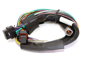 Haltech Elite 1500 8ft Basic Universal Wire-In Harness (No Relays or Fuses)