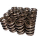 COMP Cams Valve Spring 1.625in H-11 Asse