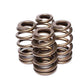 COMP Cams Valve Springs 1.589in Beehive